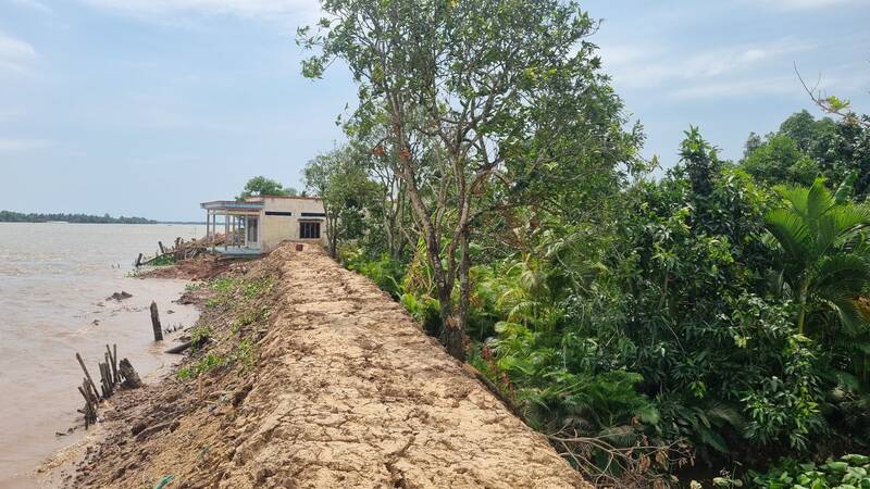 Nhiều hộ dân có đất canh tác nông nghiệp tại cồn Thanh Long, muốn bán nhưng không ai mua vì lo sạt lở mất đất. Ảnh: Hoàng Lộc