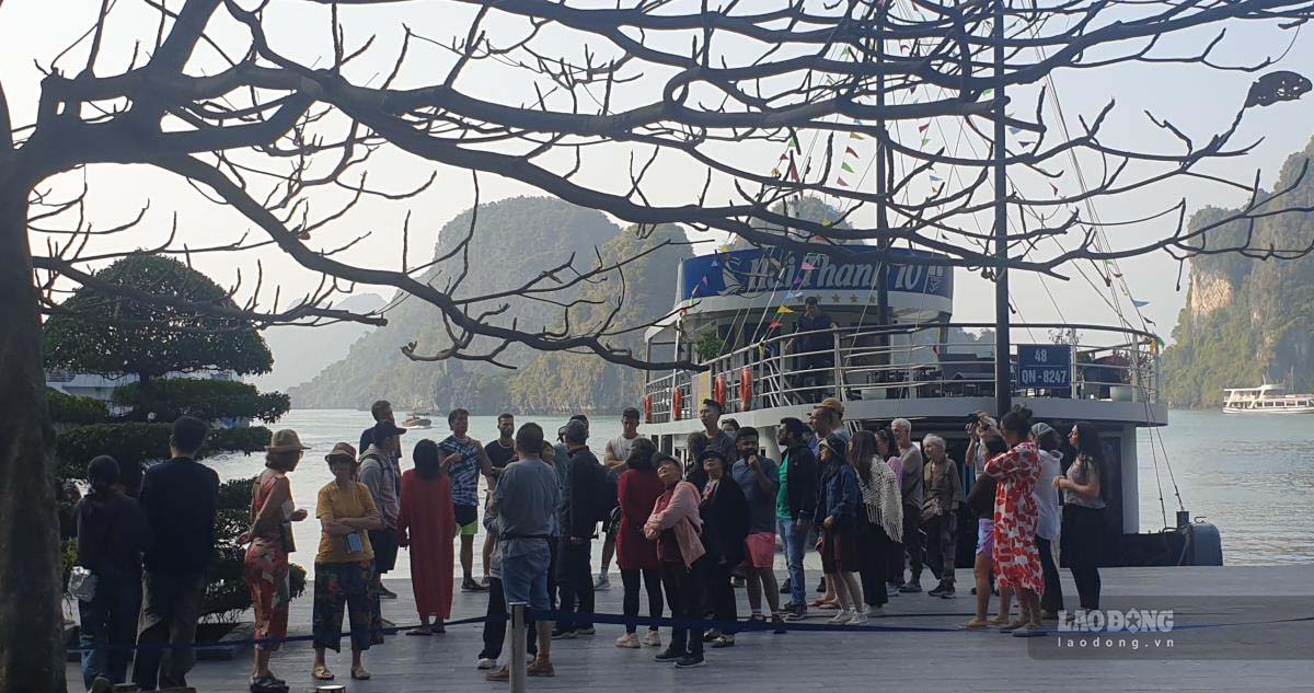 Trong 6 ngày Tết, lượng khách quốc tế đến vịnh Hạ Long tăng mạnh. Ảnh: Nguyễn Hùng