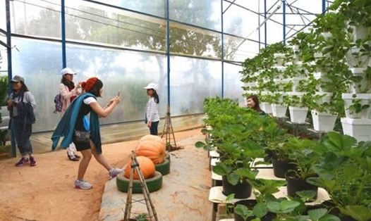 Lâm Đồng đề xuất sớm ban hành bộ tiêu chí, tiêu chuẩn về du lịch nông thôn. Ảnh: Quang Sáng