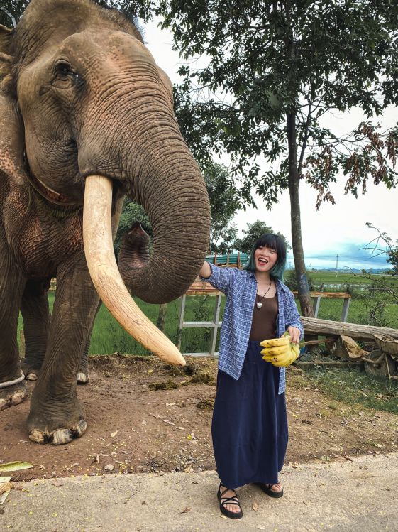 Ngày đến Đắk Lắk, Yến trải nghiệm cho voi ăn trong buôn làng ở huyện Lắk. Đây cũng là giấc mơ thuở nhỏ của cô. 
