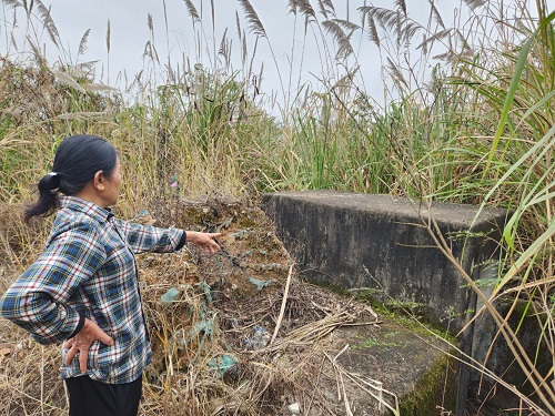 Bà Chu Thị Tân (SN 1962), một người dân sống cạnh Pháo đài dẫn phóng viên đi xem các lối xuống hầm. Ảnh Trường Nguyên.