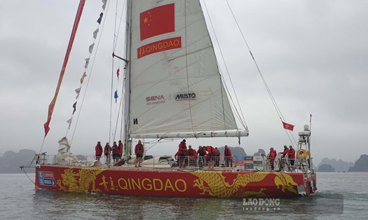 Chiếc thuyền buồm đầu tiên trong đoàn đua vào vịnh Hạ Long khoảng 12h30 hôm nay (18.2). Ảnh: Nguyễn Hùng