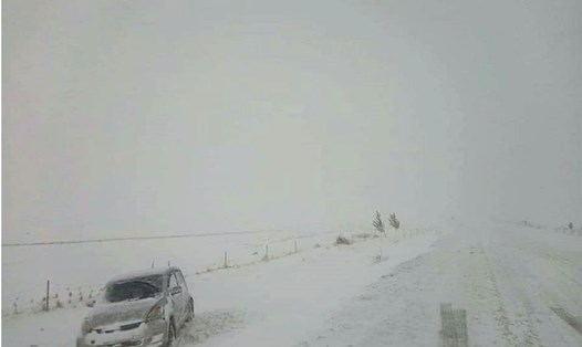 Cảnh bão tuyết ở tỉnh Umnugovi, Mông Cổ năm 2019. Ảnh minh họa: Xinhua
