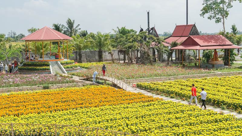 Thời gian gần đây, du khách còn đổ về check-in nhờ vườn hoa vạn thọ rực rỡ nằm trong khuôn viên Chùa Chén Kiểu.