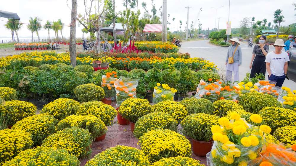 Đây là chợ hoa Xuân đầu tiên của TP Cần Thơ, miễn phí tiền thuê mặt bằng, điện, nước… cho các tiểu thương, nhà vườn buôn bán.
