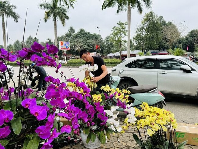 Anh Nguyễn Văn Phúc (thợ cắm hoa trên đại lộ Lê Nin, TP. Vinh) trang trí chậu hoa lan. Ảnh: Hải Âu