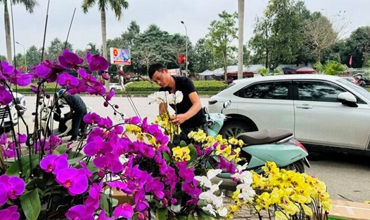 Anh Nguyễn Văn Phúc (thợ cắm hoa trên đại lộ Lê Nin, TP. Vinh) trang trí chậu hoa lan. Ảnh: Hải Âu