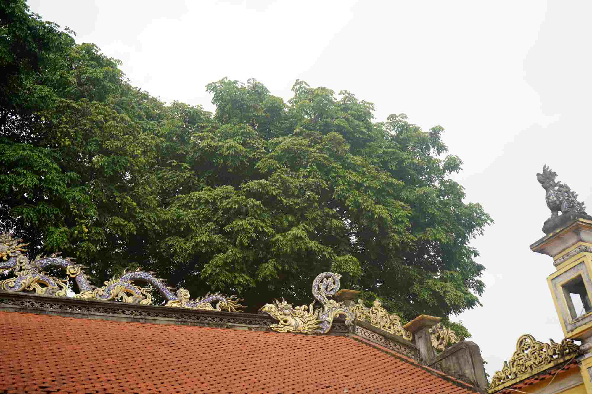 Tán cây ôm trọn đình Nghè Hà Phú, tạo bức tường xanh mát tôn lên vẻ cổ kính, uy nghiêm của di tích này. 