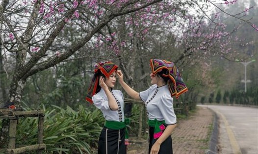 Du khách thích thú checkin dưới hoa đào nở rộ. Ảnh: Hà