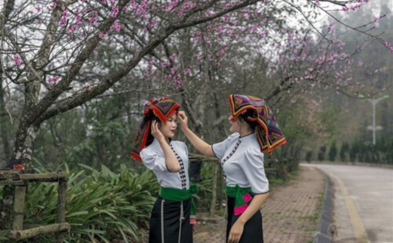 Du khách thích thú checkin dưới hoa đào nở rộ. Ảnh: Hà