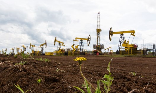 Giếng dầu của Tập đoàn Dầu khí Udmurtia ở Udmurtia, một nước cộng hòa ở miền tây Liên bang Nga. Ảnh: Xinhua
