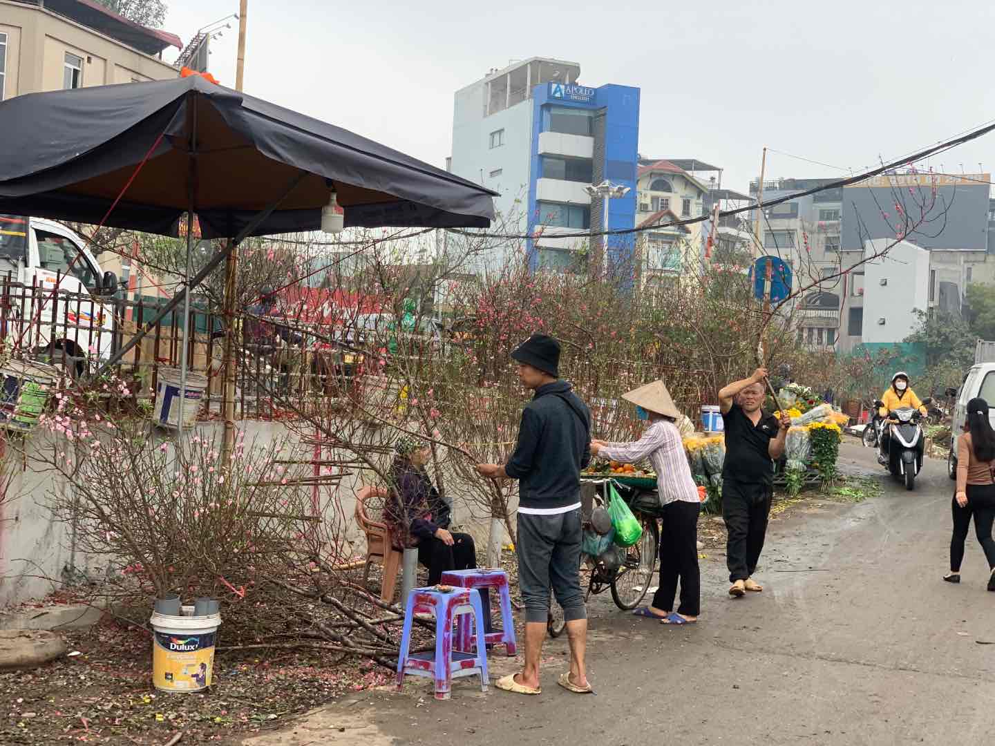 Khung cảnh chợ hoa Quảng An sáng ngày 20.2. Ảnh: Nhật Minh