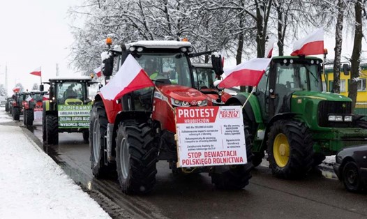 Nông dân Ba Lan biểu tình gần biên giới với Ukraina. Ảnh: Agencja Wyborcza.pl