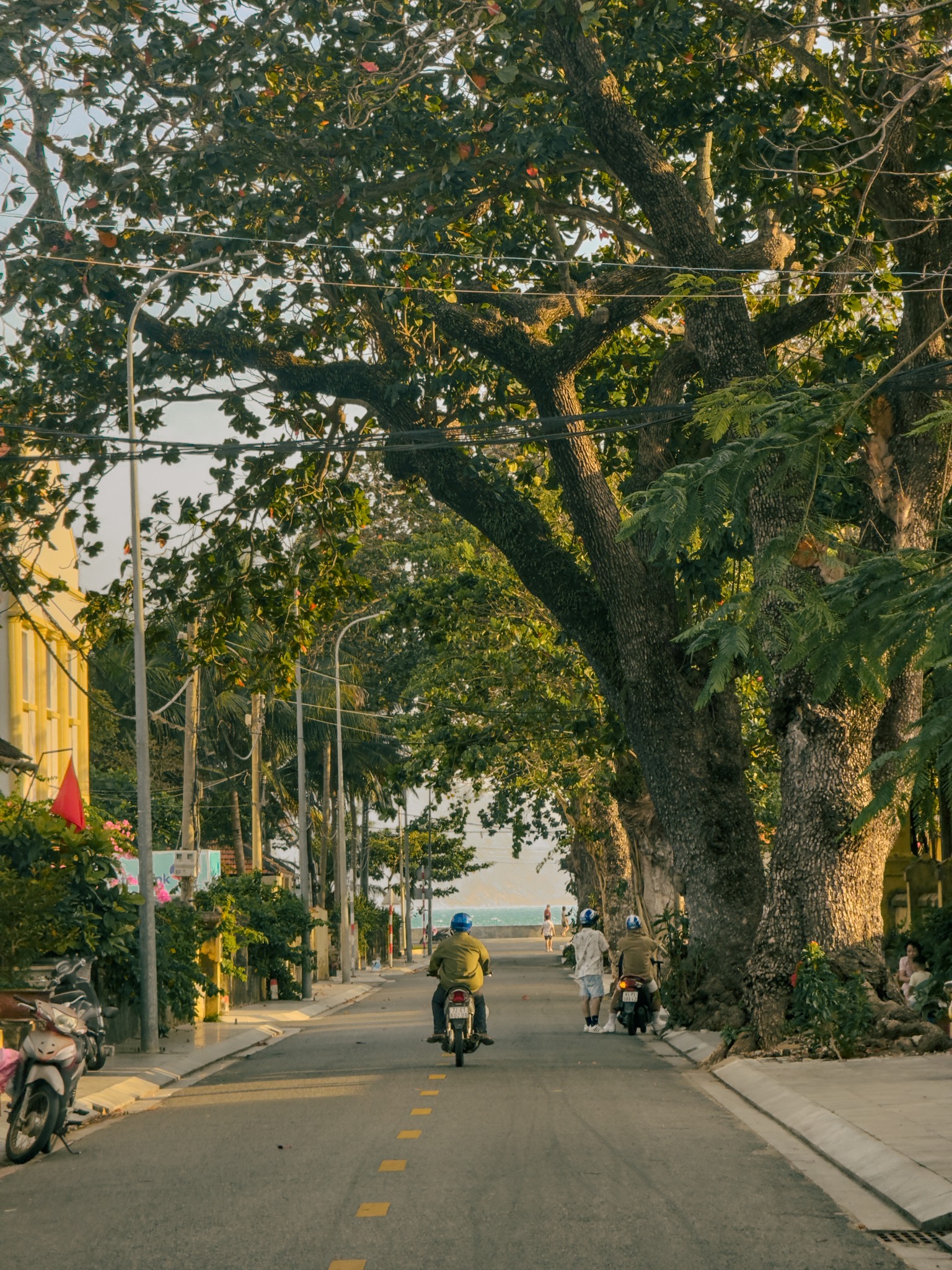 Côn Đảo cũng có hệ thống lưu trú đa dạng để du khách lựa chọn. Ngoài những homestay hay khách sạn thông thường, Côn Đảo có duy nhất resort 5 sao Six Senses, nơi từng được nhiều ngôi sao nổi tiếng lựa chọn để nghỉ dưỡng. 