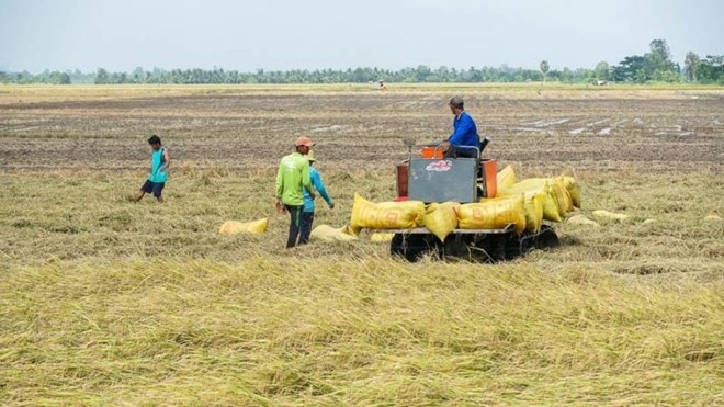 Sợ hớ, nông dân miền Tây không dám nhận cọc sớm