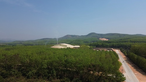 Cây caosu vẫn còn phủ xanh bên trong đất cụm công nghiệp Đắk La ở huyện Đắk Hà. Ảnh: Thanh Tuấn 