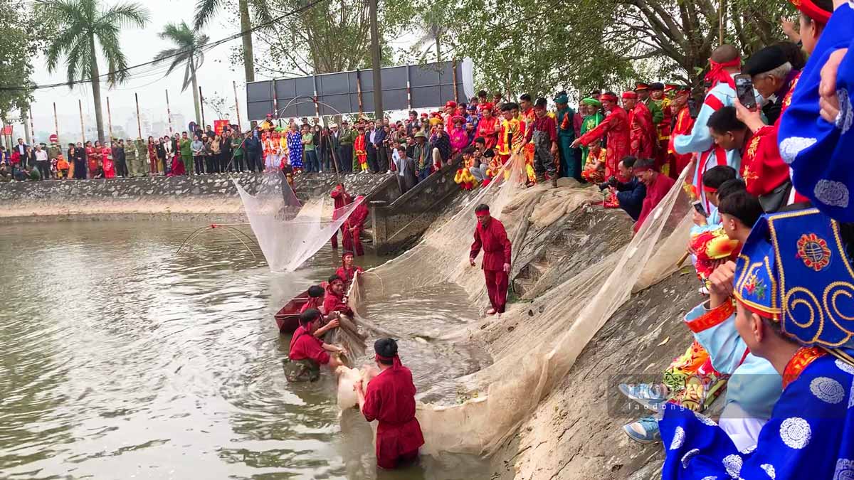 Tiến hành đánh bắt cá ở ao cá tại đền Trần Nam Định. Ảnh: Lương Hà
