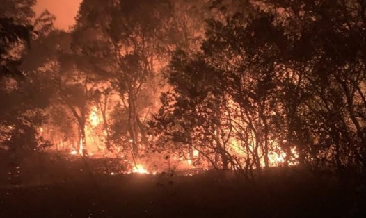 Một vụ cháy lan do dọn thực bì trên địa bàn huyện Xuyên Mộc. Ảnh: Công an cung cấp