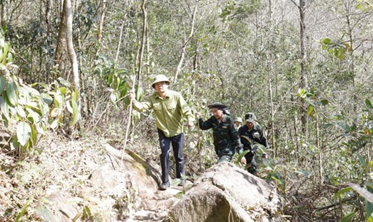 Bí thư Tỉnh ủy Lào Cai (dẫn đầu) cùng Chủ tịch UBND tỉnh Lào Cai và đoàn công tác kiểm tra hiện trường vụ cháy rừng. Ảnh: B.N