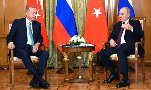 Tổng thống Nga Vladimir Putin và Tổng thống Thổ Nhĩ Kỳ Recep Tayyip Erdogan hội đàm ở Sochi, Nga, tháng 9.2023. Ảnh: Kremlin