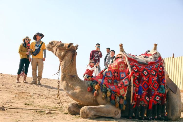 Du khách Trung Quốc tham quan Kim tự tháp Giza ở Giza, Ai Cập. Ảnh: Xinhua  