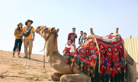 Du khách Trung Quốc tham quan Kim tự tháp Giza ở Giza, Ai Cập. Ảnh: Xinhua
