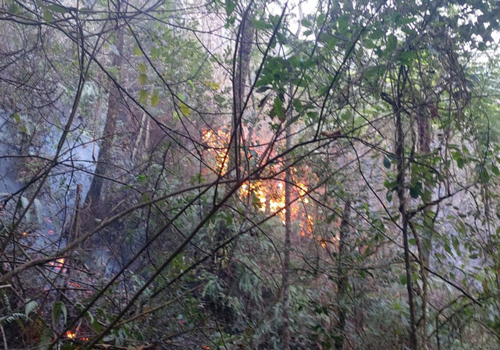 Đám cháy mới được phát hiện ở vị trí hướng thôn Dền Thàng (xã Tả Van, thị xã Sa Pa ) về phía tỉnh Lai Châu, cách đám cháy cũ khoảng 500m. Ảnh: NDCC
