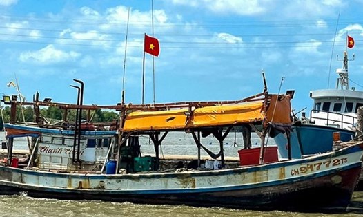 Tàu CM-91772-TS (tàu chở 10 thiết bị VMS) được cơ quan chức năng dẫn giải, neo tại cảng Đội Thanh tra chuyên ngành thủy sản Sông Đốc phục vụ công tác điều tra vào tháng 3.2023. Ảnh: Nhật Hồ