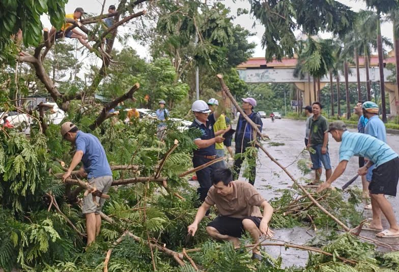 Cư dân khẩn trương dọn dẹp cây xanh bị gãy đổ phía mặt đường Hoàng Tùng (gần phía cổng chào Công viên Thiên đường Bảo Sơn). Ảnh: T.Vương