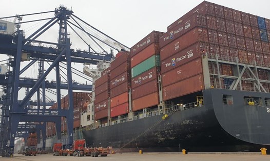 Tàu SEASPAN KOBE cập Cảng container quốc tế Cái Lân, TP.Hạ Long sáng 23.2.2024. Ảnh: Nguyễn Hùng