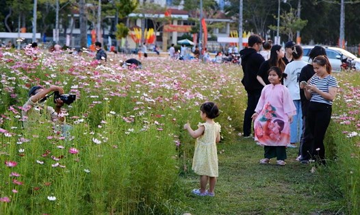 Vườn hoa cánh bướm tại Cần Thơ thu hút nhiều người đến check-in, chụp ảnh. Ảnh: Mỹ Ly