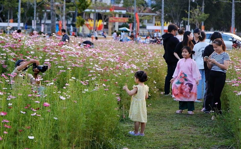 Vườn hoa cánh bướm tại Cần Thơ thu hút nhiều người đến check-in, chụp ảnh. Ảnh: Mỹ Ly