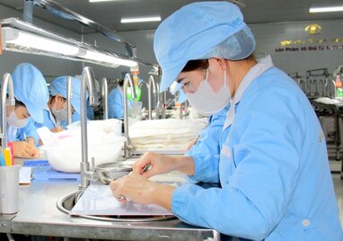 Người lao động sản xuất yến sào ở Đắk Lắk. Ảnh: Minh Thuận