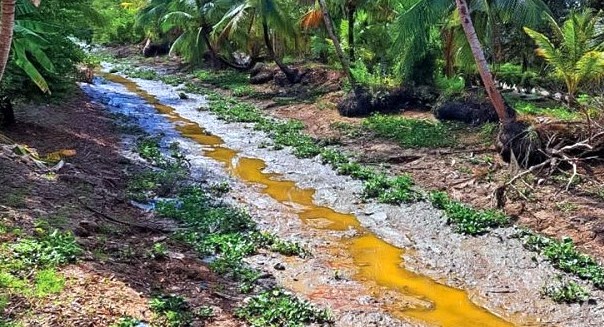 Các dòng sông trong vùng ngọt tỉnh Cà Mau đã khô kiệt, việc vận chuyển nước sạch cũng gặp khó khăn. Ảnh: Nhật Hồ