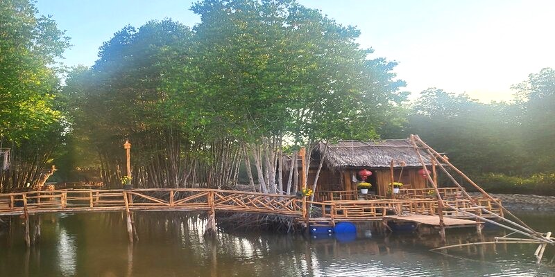 Một điểm du lịch sinh thái dưới tán rừng ngập mặn Mũi Cà Mau, huyện Ngọc Hiển, Cà Mau hút khách tham quan. Ảnh: Nhật Hồ