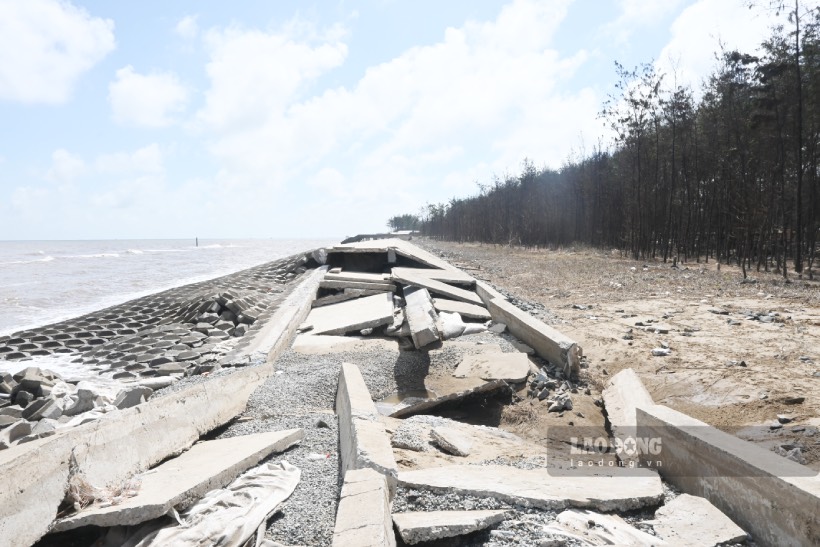 Theo ghi nhận của phóng viên Báo Lao Động vào chiều ngày 23.2 tại tuyến kè giảm sóng bảo vệ bờ biển khu vực Cồn Bửng (xã Thạnh Hải, huyện Thạnh Phú, tỉnh Bến Tre) bị sạt lở.