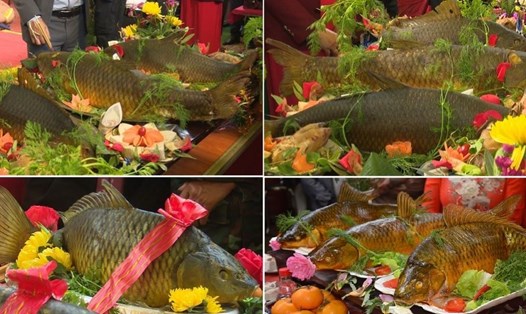Những con cá vàng ruộm trong mâm cỗ cá thi tài tại lễ hội đền Trần Thái Bình 2024. Ảnh: Nam Hồng