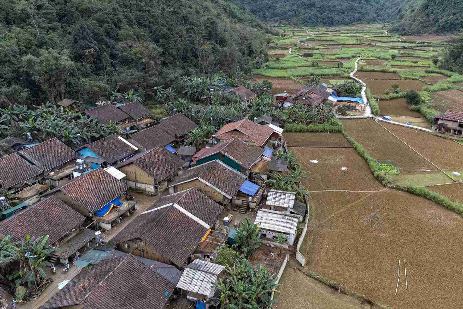 Xóm Luống Nọi (xã Ngọc Đào, huyện Hà Quảng) là địa phương duy nhất ở Cao Bằng còn lưu giữ và phát triển được nghề dệt thổ cẩm của người Tày. 