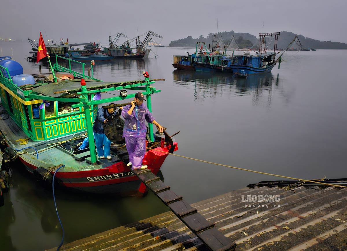 Chợ cá Hạ Long nằm ở vị trí ven biển, đa dạng những loài thủy hải sản tươi ngon được các ngư dân vừa đánh bắt ở biển về giao hàng.