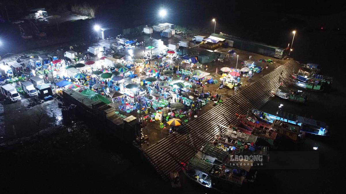 Ban đầu, chợ cá được bố trí ở khu bến cá giáp chợ Hạ Long 1 (phường Bạch Đằng, TP Hạ Long).  Đầu tháng 9.2020, chợ được chuyển vào khu vực phường Cao Xanh như hiện tại, cách vị trí cũ khoảng 3-4 km nhằm đảm bảo mỹ quan, vệ sinh môi trường vùng biển. 