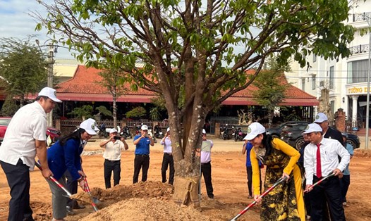 Phó Chủ tịch HĐND tỉnh Bình Định Huỳnh Thị Thúy Vân (áo dài) và lãnh đạo Hoài Ân thực hiện nghi thức đặt gốc mai. Ảnh: Xuân Nhàn.