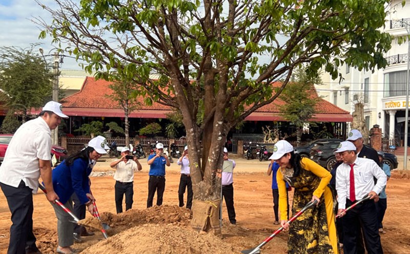 Phó Chủ tịch HĐND tỉnh Bình Định Huỳnh Thị Thúy Vân (áo dài) và lãnh đạo Hoài Ân thực hiện nghi thức đặt gốc mai. Ảnh: Xuân Nhàn.