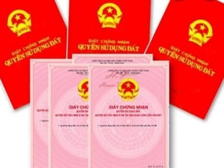 Ảnh minh hoạ chụp màn hình.