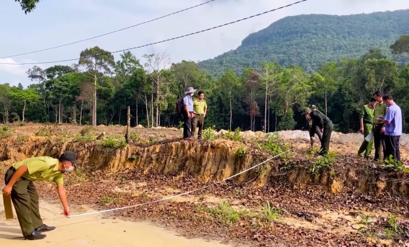 Lực lượng chức năng Quảng Nam xác minh, kiểm đếm diện tích rừng phòng hộ Tây Giang bị xâm hại. Ảnh: BQL rừng Tây Giang.