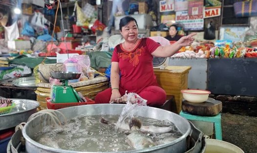 Hàng trăm hộ tiểu thương bán rau, cá ở chợ Vĩnh Long chưa sẵn sàng di dời đến nơi buôn bán mới. Ảnh: Hoàng Lộc