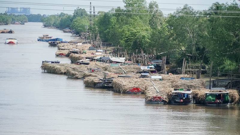 Mía được vận chuyển đến Công ty cổ phần mía đường Sóc Trăng. Ảnh: Phương Anh