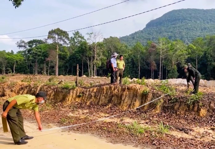 Vụ phá rừng phòng hộ Tây Giang, Quảng Nam bộc lộ nhiều bất cập trong công tác quản lý rừng. Ảnh: BQL rừng Tây Giang.