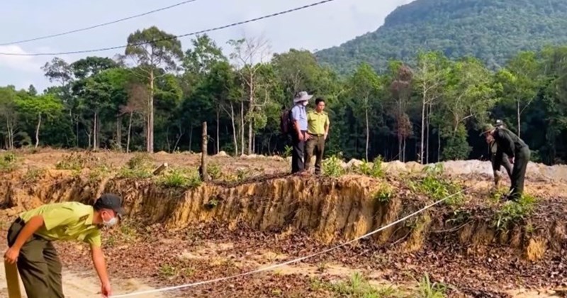 Công an điều tra vụ phá rừng làm đường dây điện cao thế ở Quảng Nam