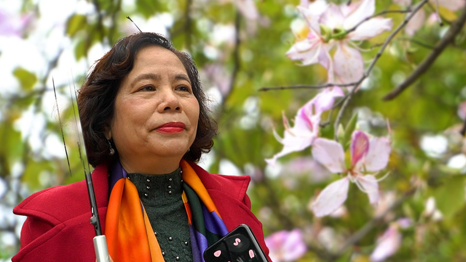 Người dân thích thú checkin loài hoa đặc trưng của Tây Bắc giữa lòng Hà Nội