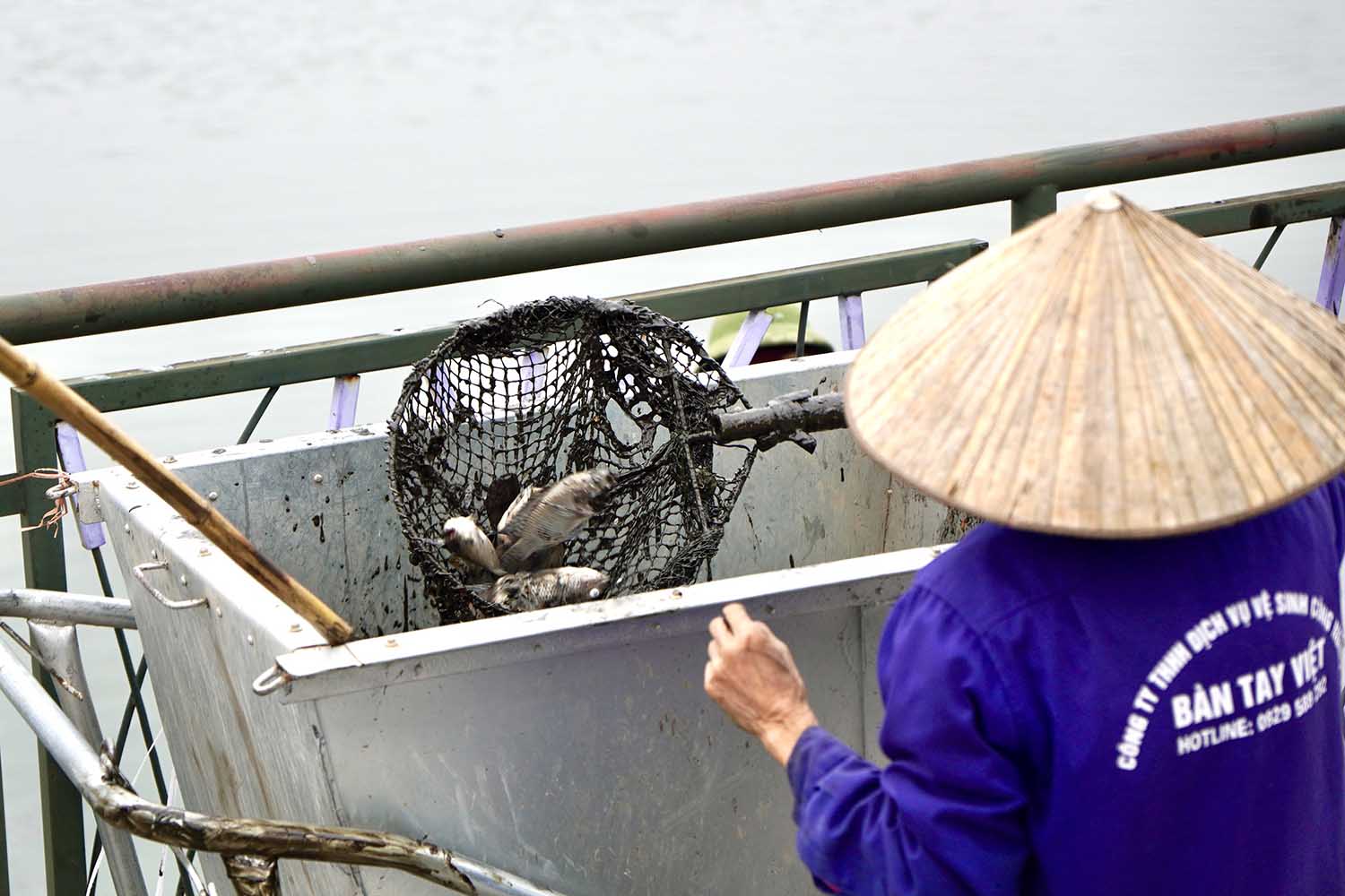 Tuy nhiên, khi công nhân môi trường sử dụng vợt lưới để thu gom cá chết thì có chất lạ màu đen dính vào, gây khó khăn cho quá trình dọn dẹp vệ sinh
